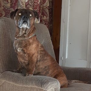 Meet your Posher, Jackson